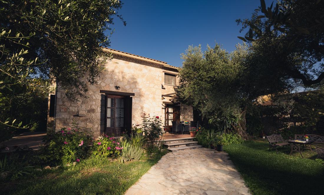 Stone pathway leading to the villa entrance among olive trees