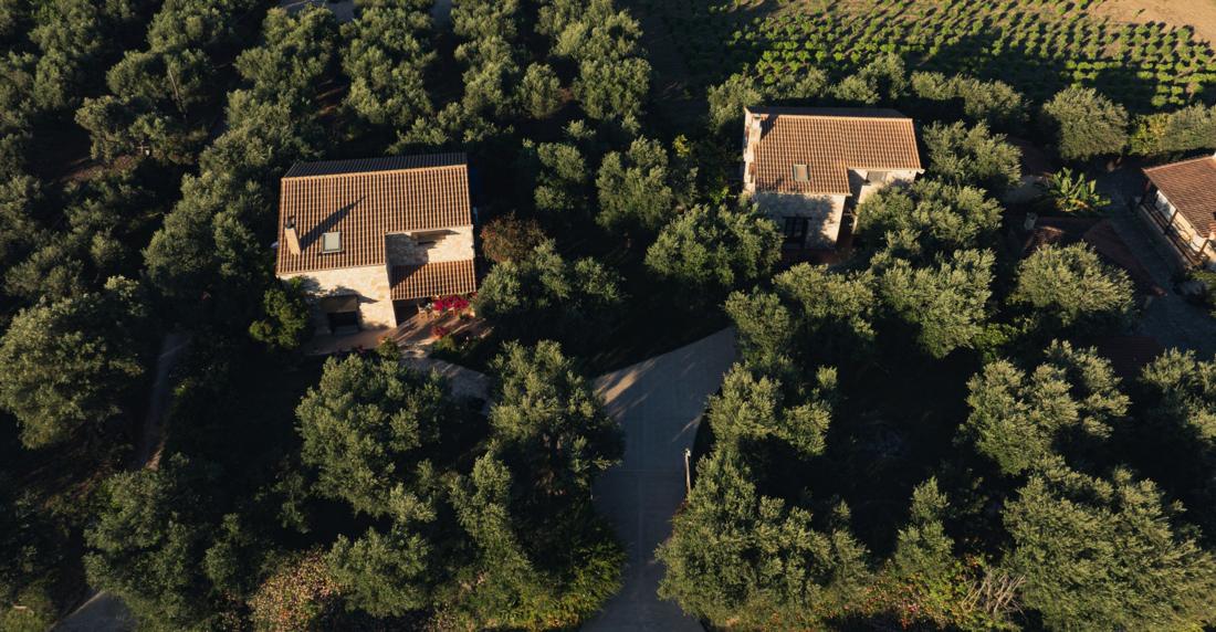 Aerial view of both stone villas among olive trees