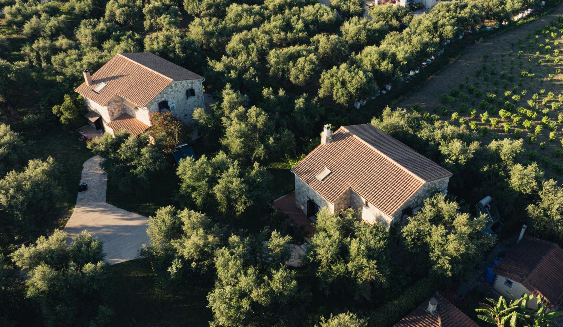 Aerial view of the villas and the surrounding vineyard