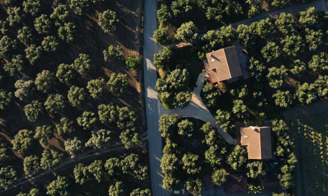 Aerial view of the villas and the access road