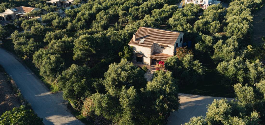 Aerial view of one villa among the olive trees