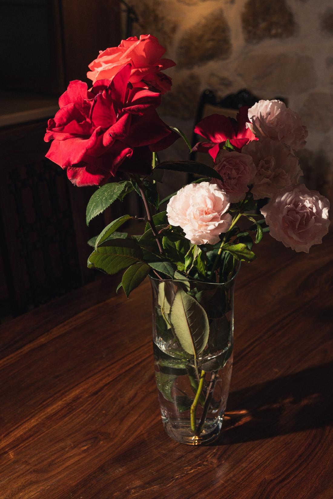 Red and pink roses in a glass vase