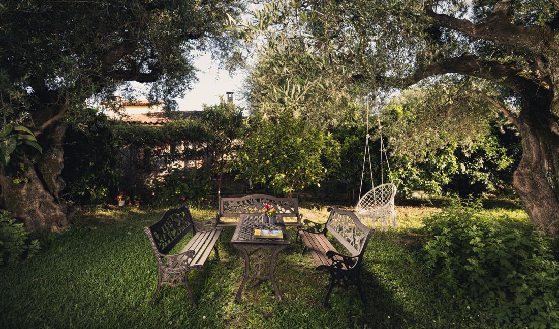 Garden benches and a hanging chair under old olive trees
